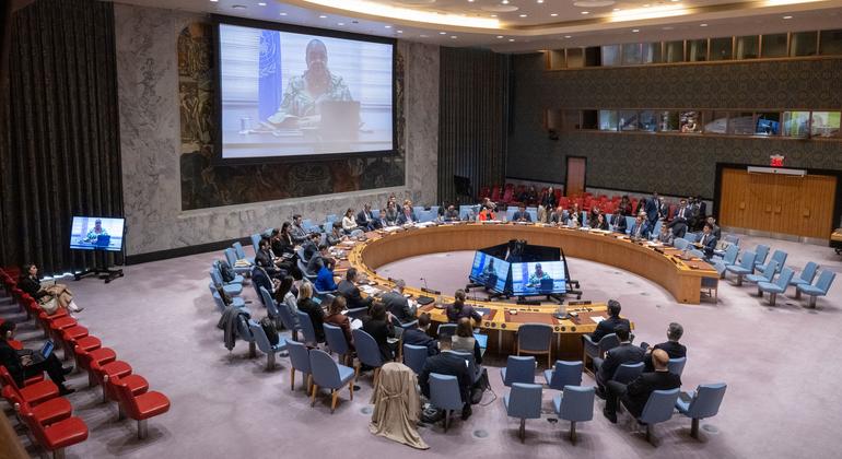 联合国秘书长利比亚问题特别代表兼联合国利比亚支助团团长汉娜·塞瓦·泰特向安理会会议通报该国局势。(资料图片）